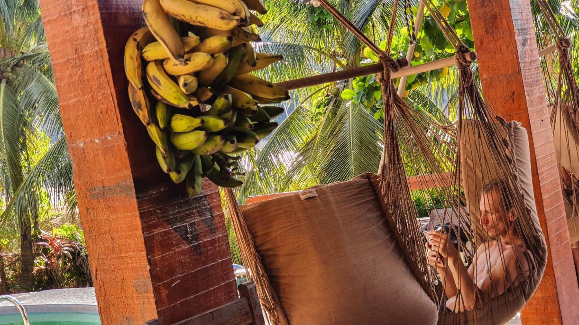 Lobo Hostel - Rurrenabaque (Adults Only) Exterior photo